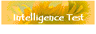 Intelligence Test