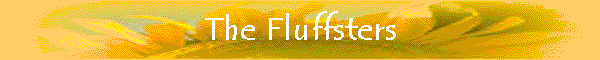 The Fluffsters