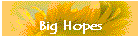 Big Hopes